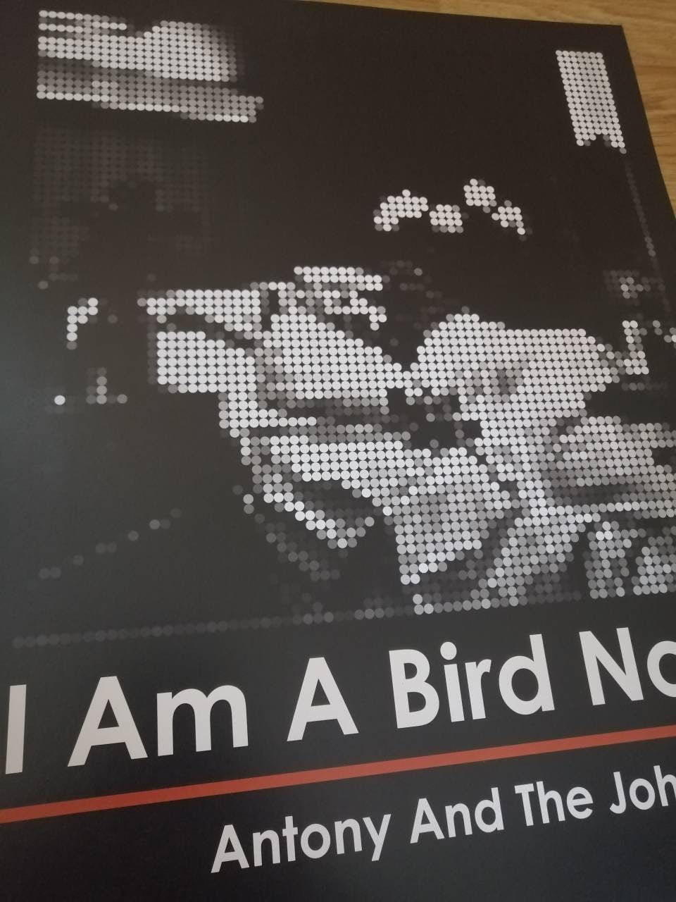 Retro-style art print of I Am a Bird Now